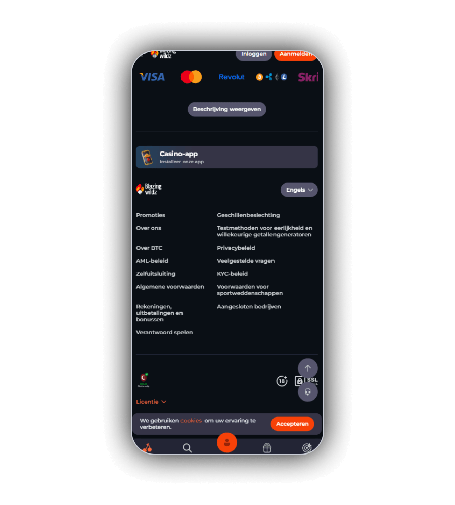 Interface van het BlizingWildz Casino NL